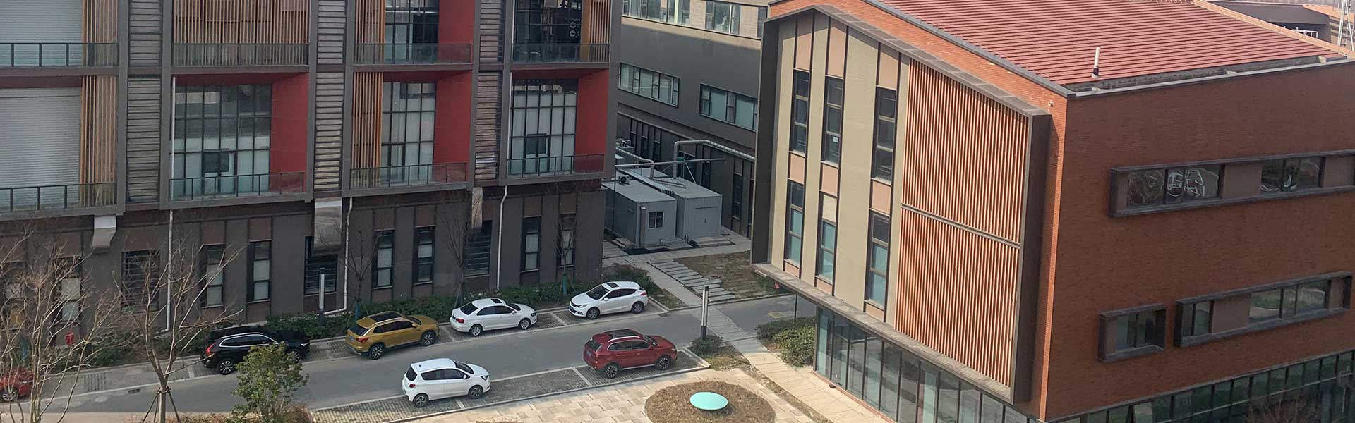 拼搏(中国)